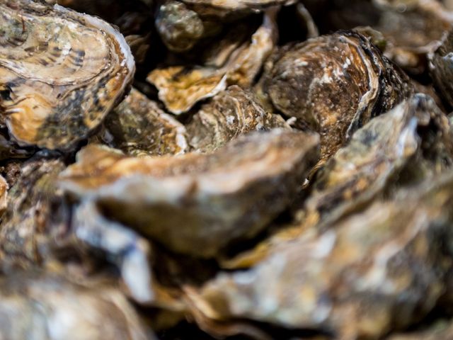 Restaurant & Écailler La Canopée 